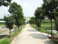 企業(yè)環(huán)境